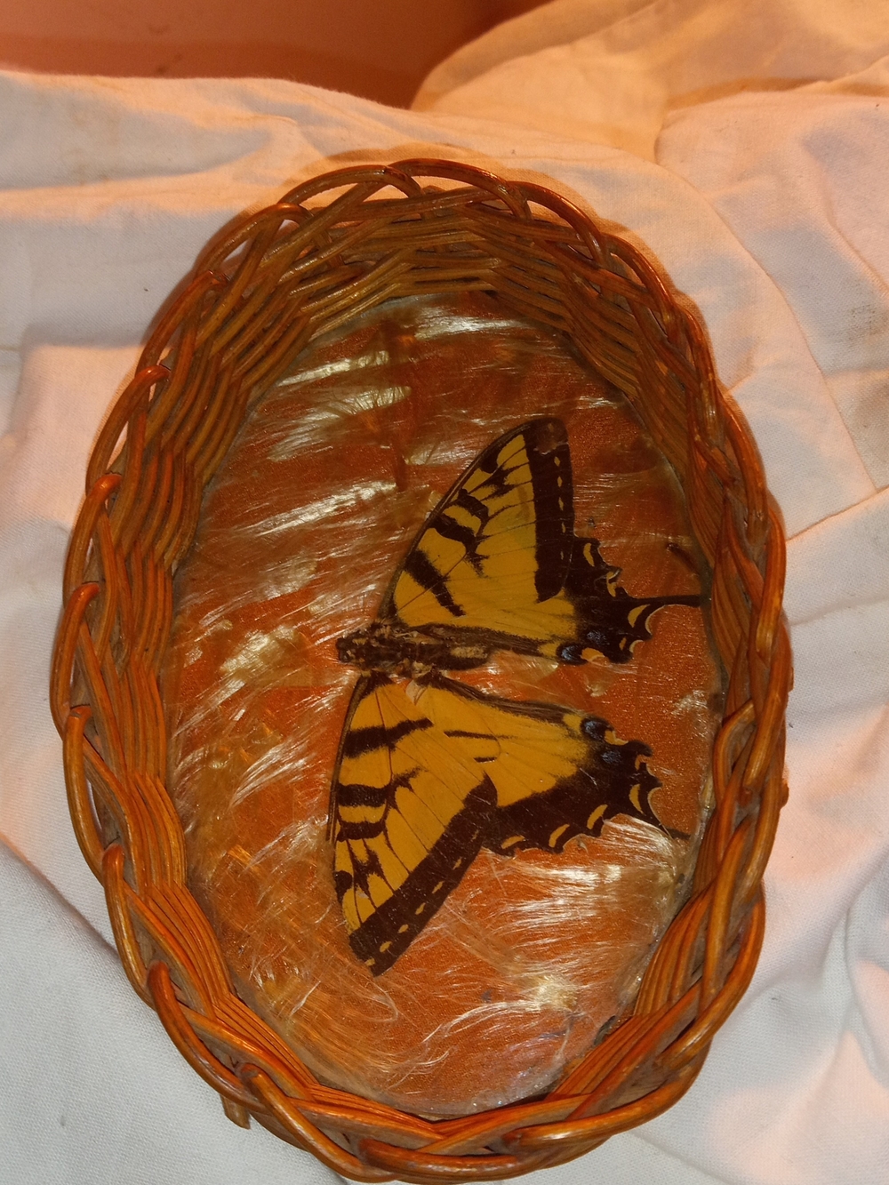 Wicker Basket Tray with Eastern Tiger Swallowtail